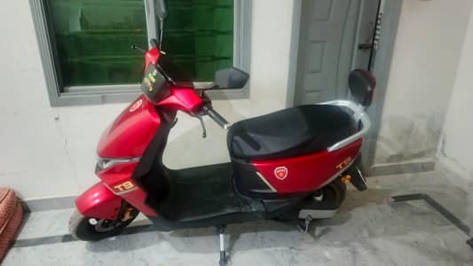 Scotty for urgent sale