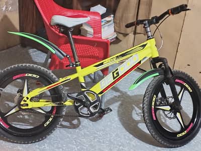 BEEGOOD CYCLE EXCELLENT CONDITION