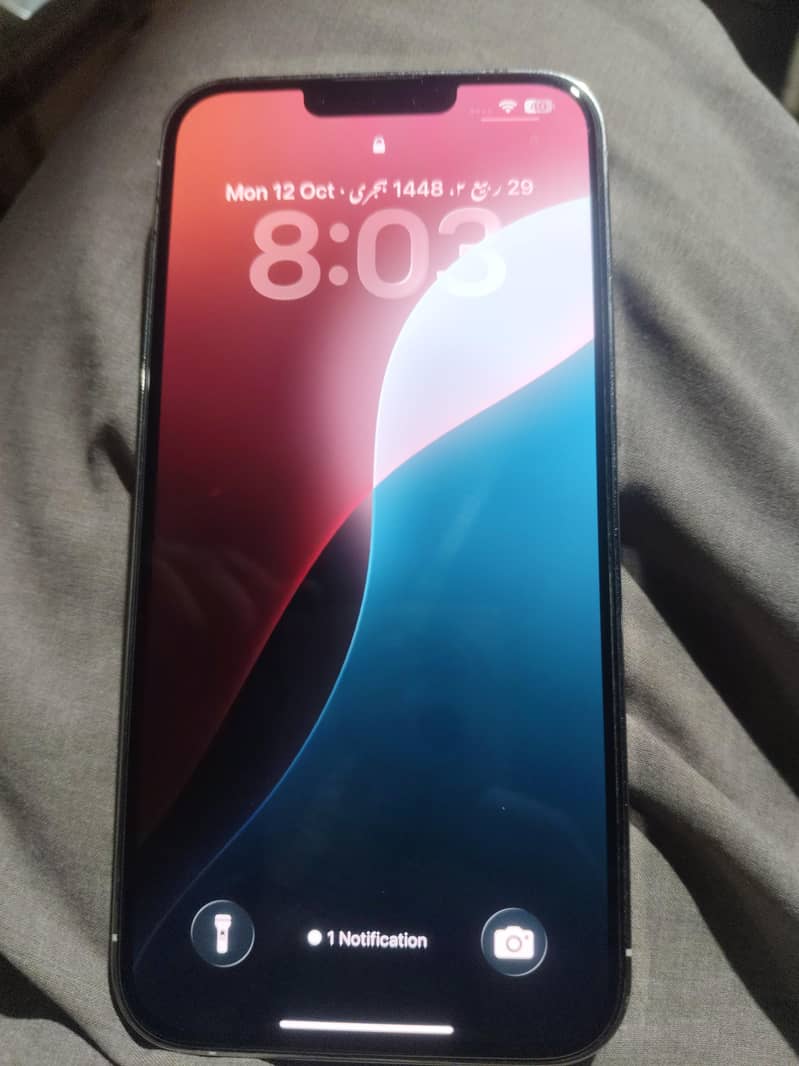 Apple iPhone 13 Pro Max 1