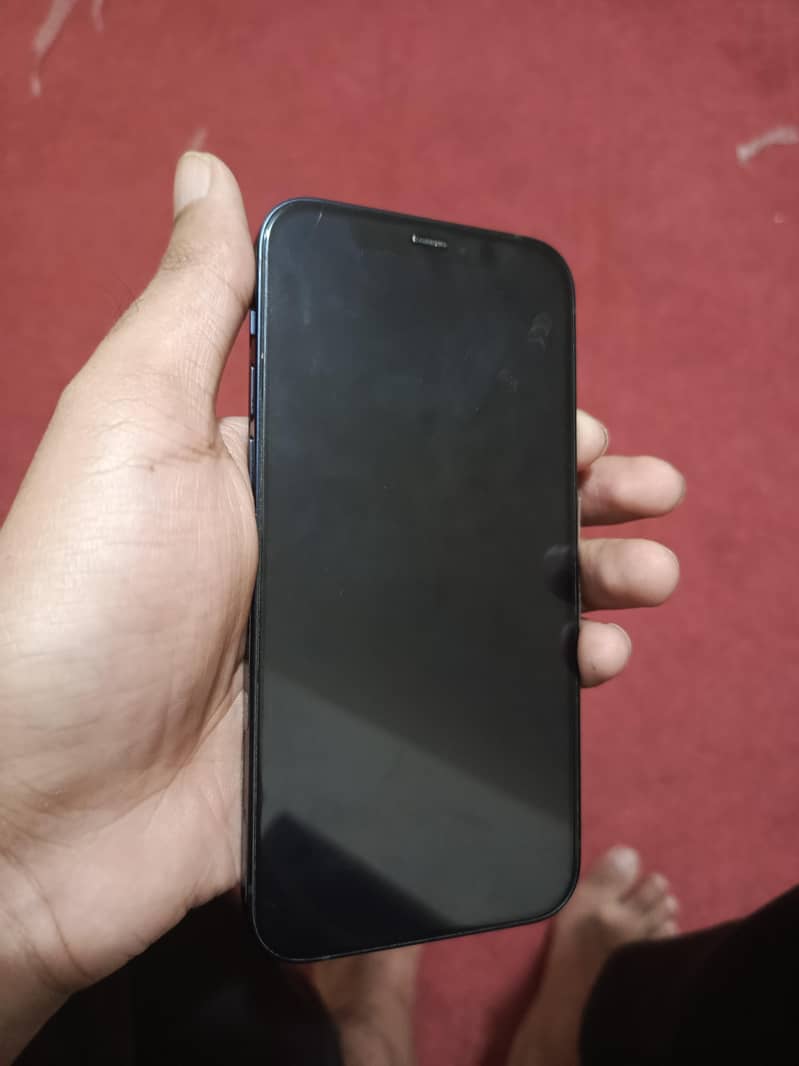 Apple iPhone 12 1