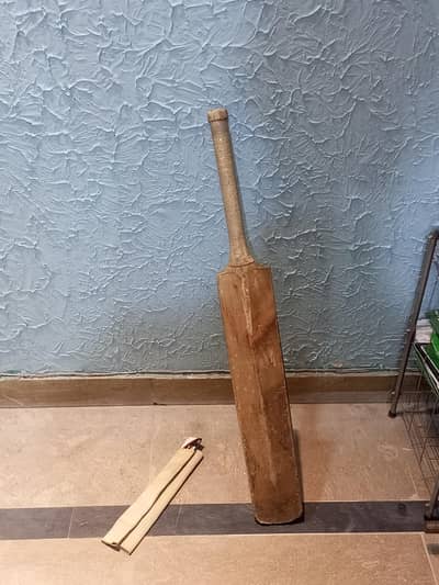 CRICKET NINE SPORTS BAT