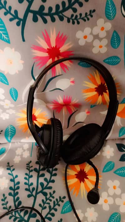 wired headphones with mic