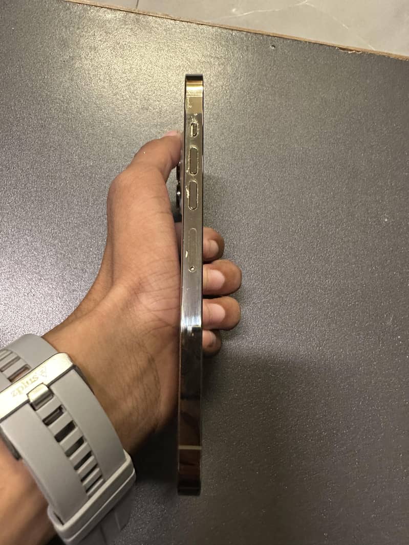 Apple iPhone 13 Pro Max 3