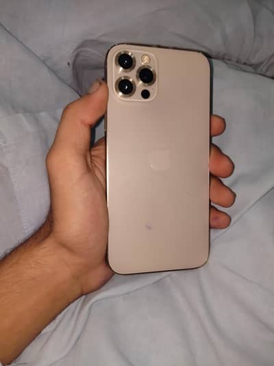 Apple iPhone 12 Pro