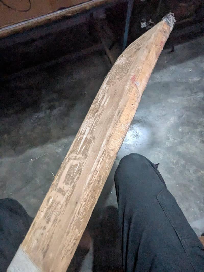 full Cricket kit 17