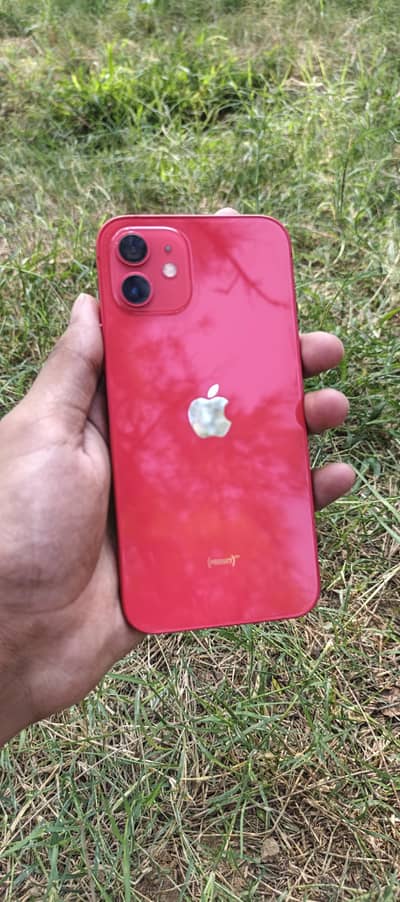 iphone 12 | 256 | red