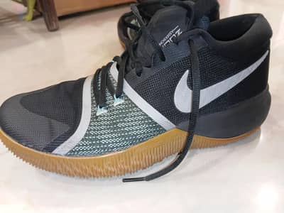Nike Zoom assersion