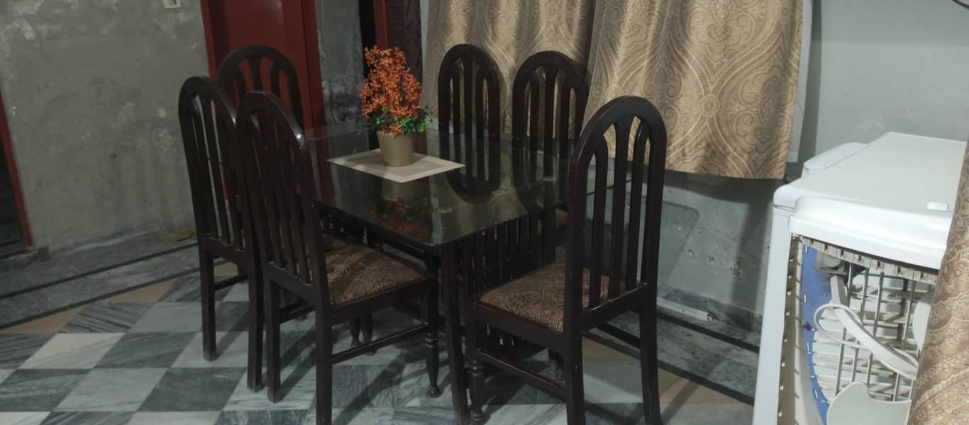 Dining Table And Room cooler 9