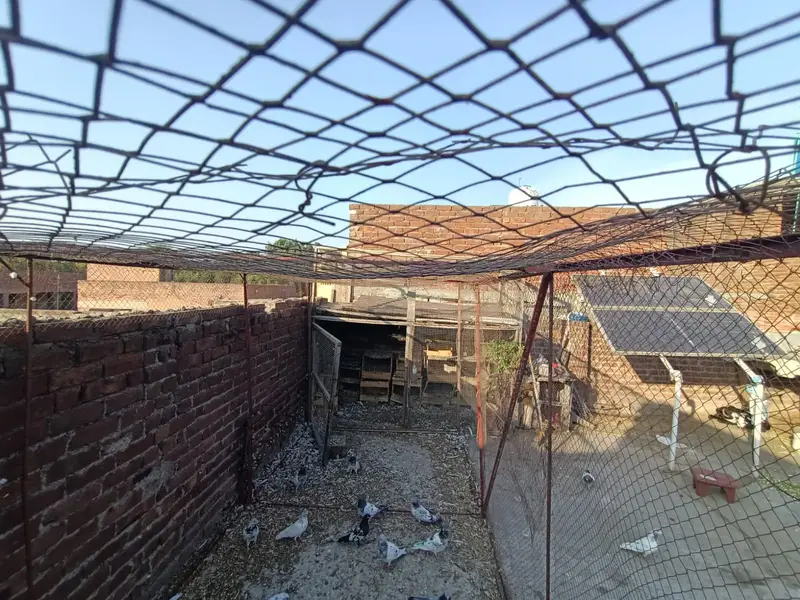 pigeon cage 6/6  square, 16.5 lenth achi condition mein majood hai. — photo 6
