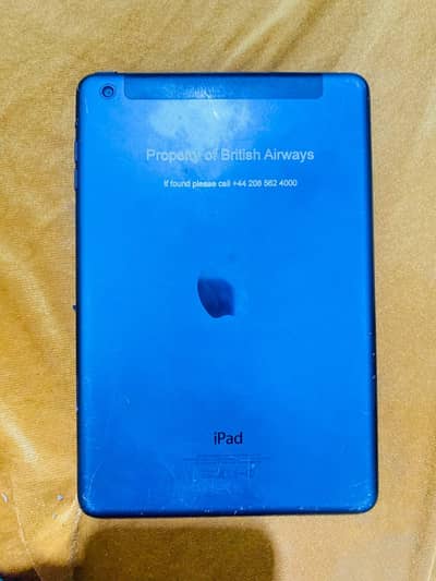 ipad mini 1
