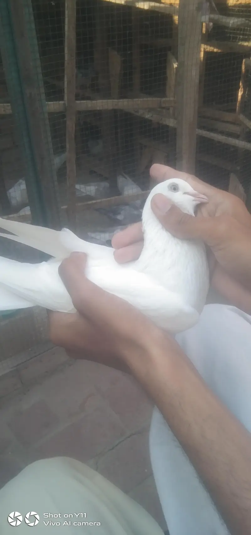 suffed meeli aankhon main.   03063240061 — photo 4