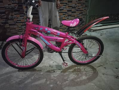 Stylish Pink 20" Girls Bicycle (Camery) – Excellent Condition (9/10)