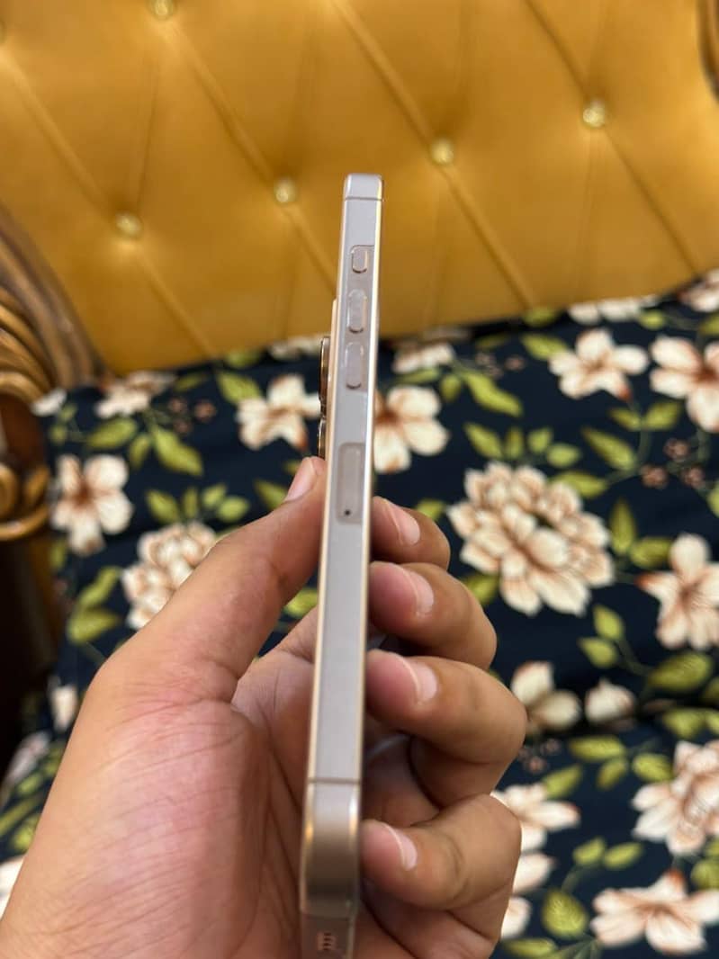 Apple iPhone 16 Pro Max 6