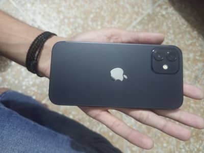 Apple iPhone 12