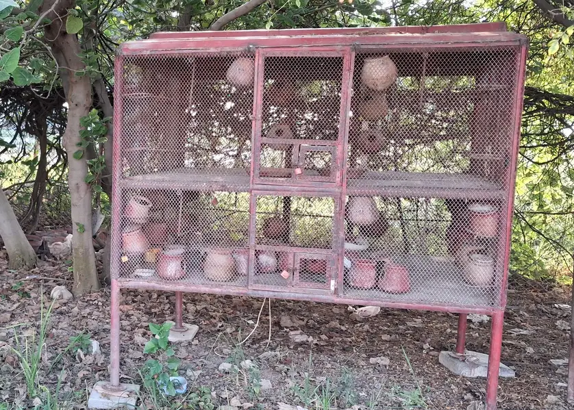 Solid And Heavy Structured Iron Cage For Pegions And Birds