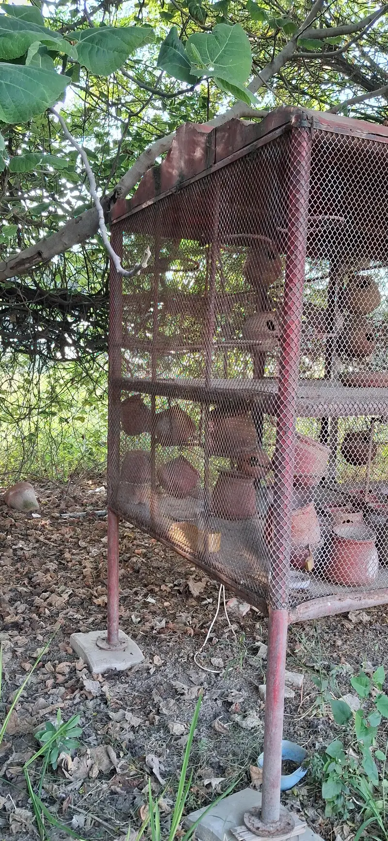 Solid And Heavy Structured Iron Cage For Pegions And Birds — photo 2