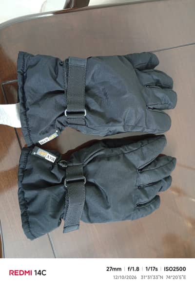 Gloves for mens