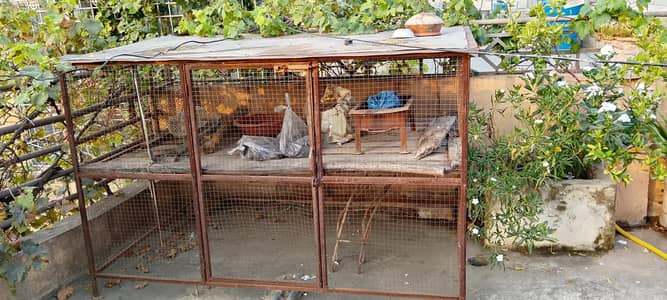 beautiful chicken cage
