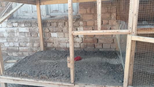 Hen Cage with 3 portions
