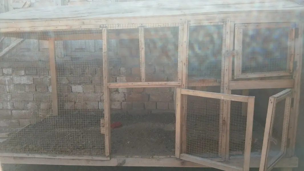 Hen Cage with 3 portions — photo 2