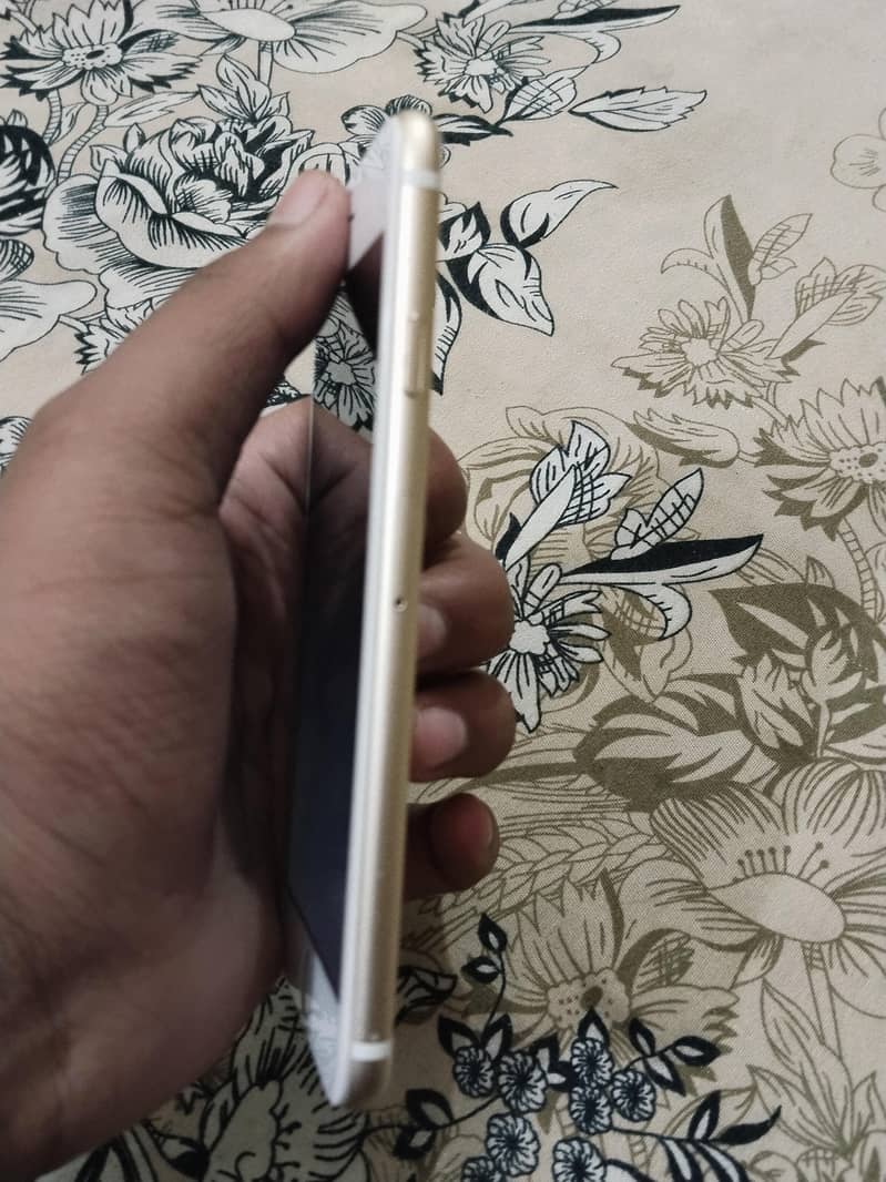 Apple iPhone 6 03161404210 wtsp 1