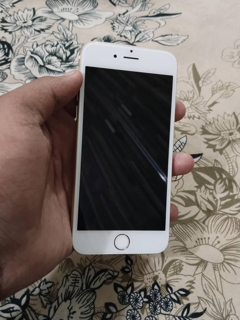 Apple iPhone 6 03161404210 wtsp 4