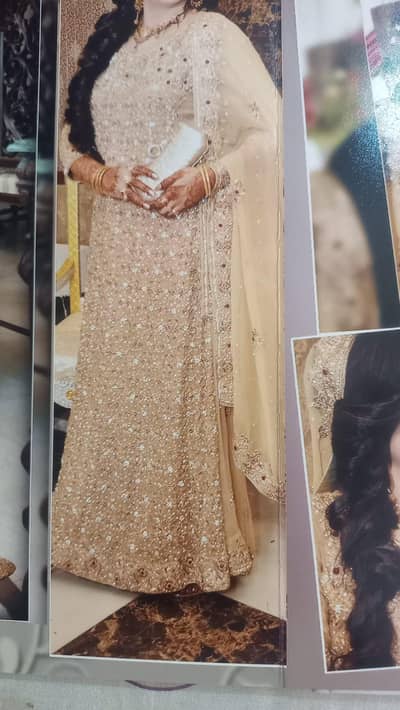walima maxi