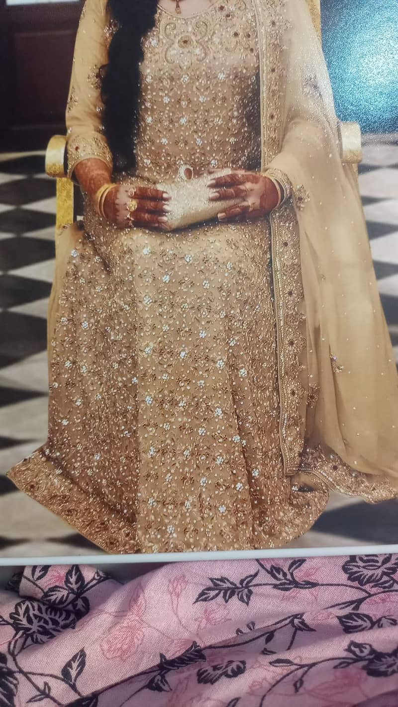 walima maxi 1