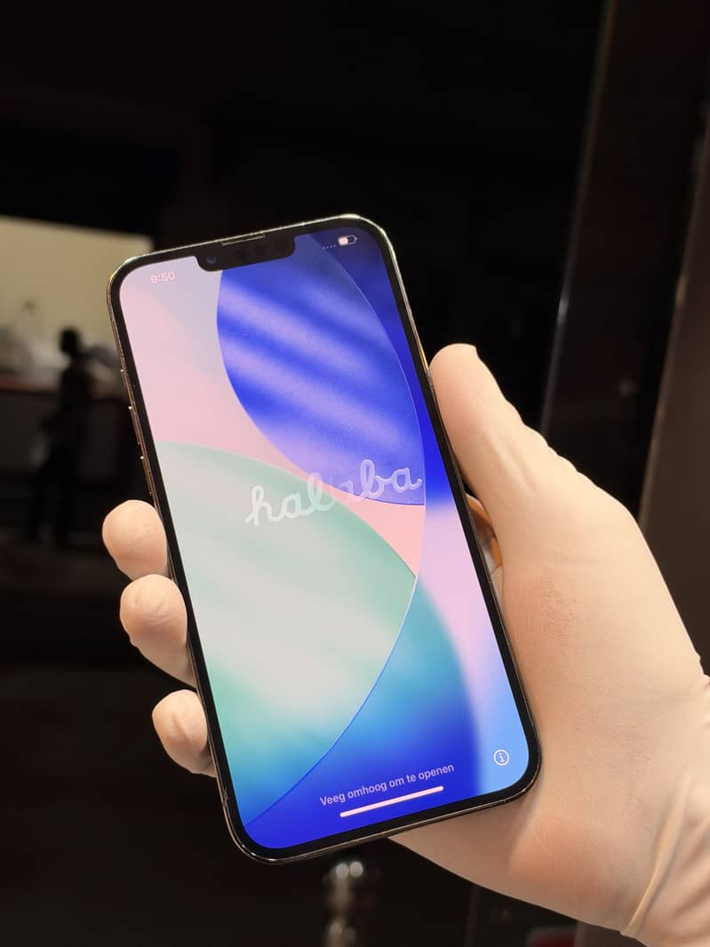 Apple iPhone 13 Pro Max 1