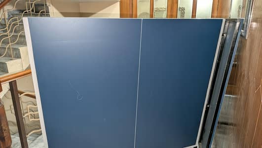 professional table tennis