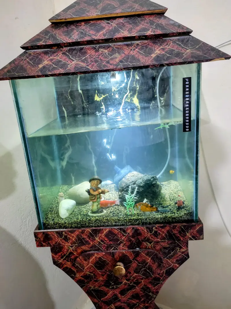 18 Inch Complete Aquarium Setup With Fish - Goldfish Molly Urgent Sale — photo 2