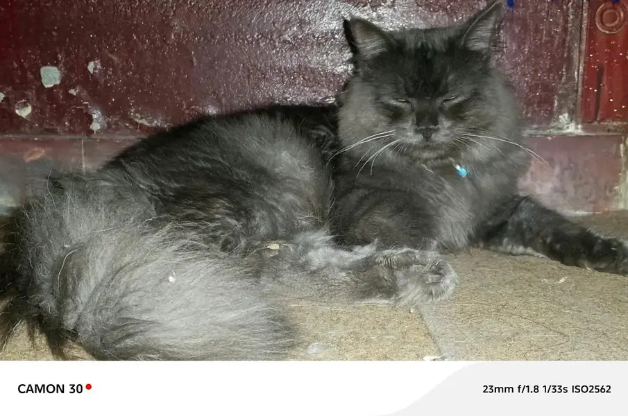 male and female — photo 4