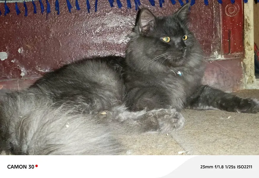 male and female — photo 7