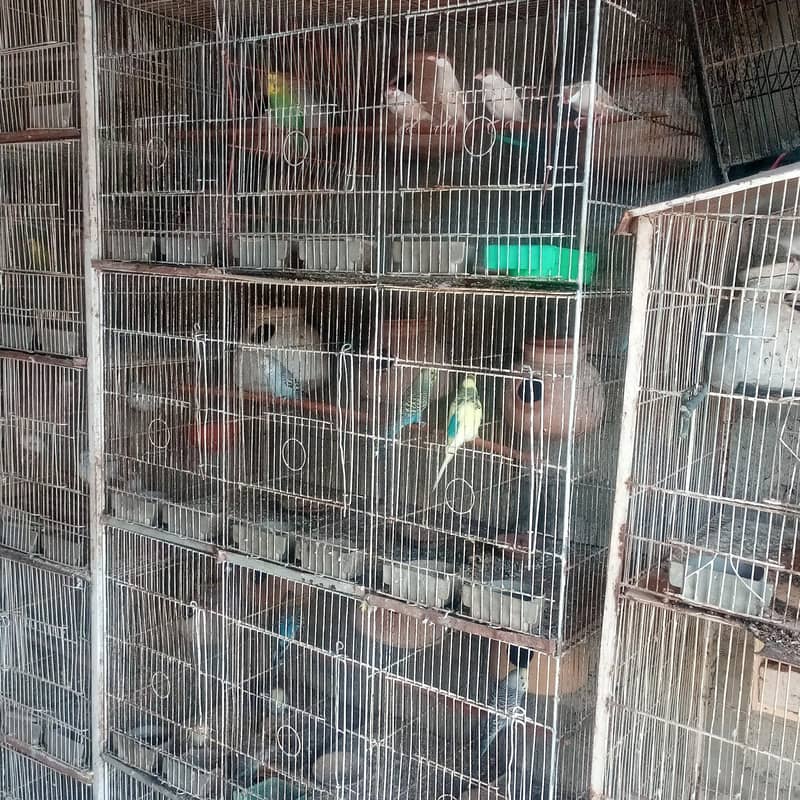 Pets cage 1