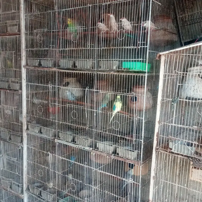 Pets cage — photo 2
