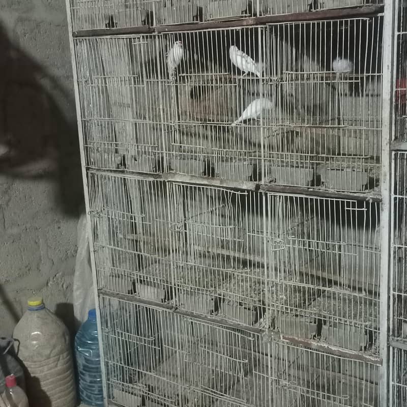 Pets cage 3