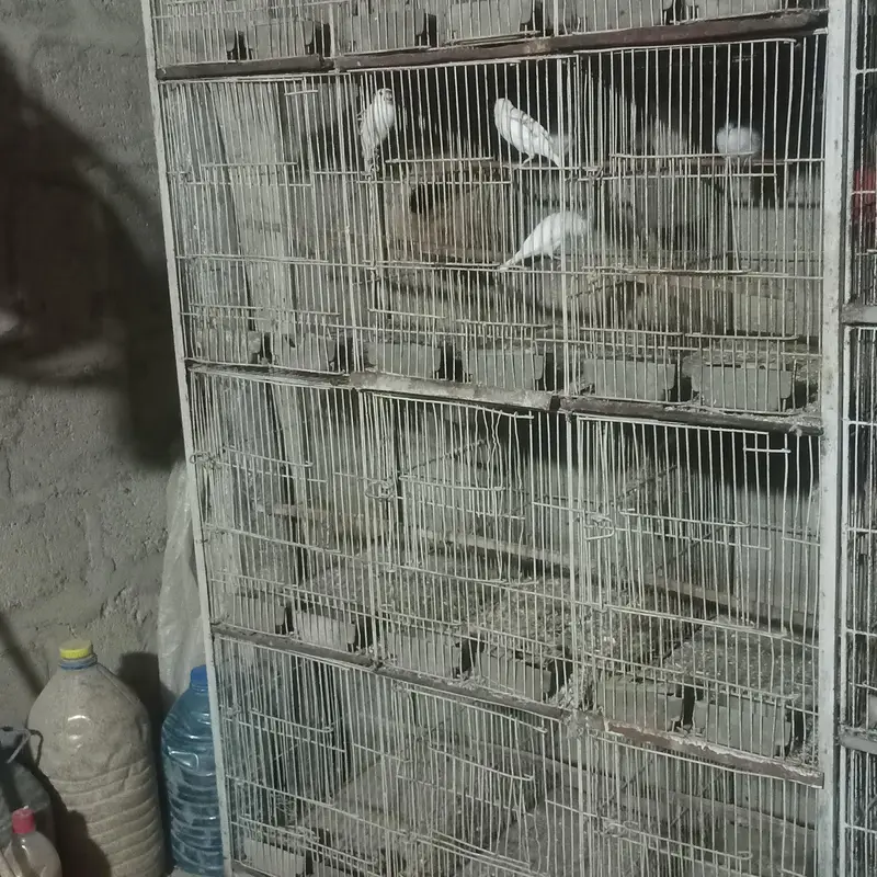 Pets cage — photo 4