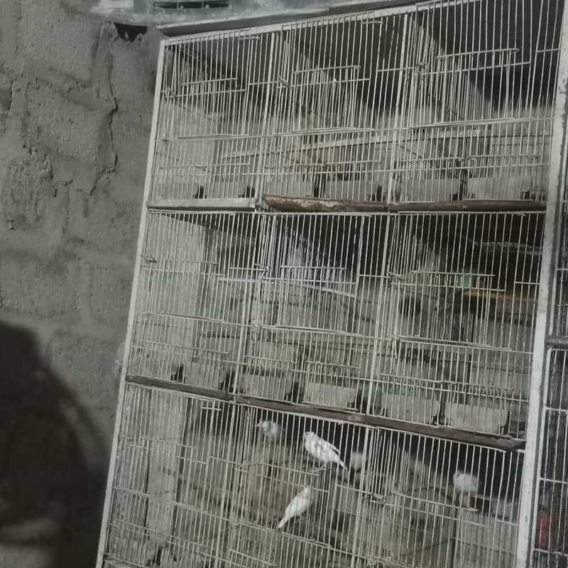 Pets cage 4