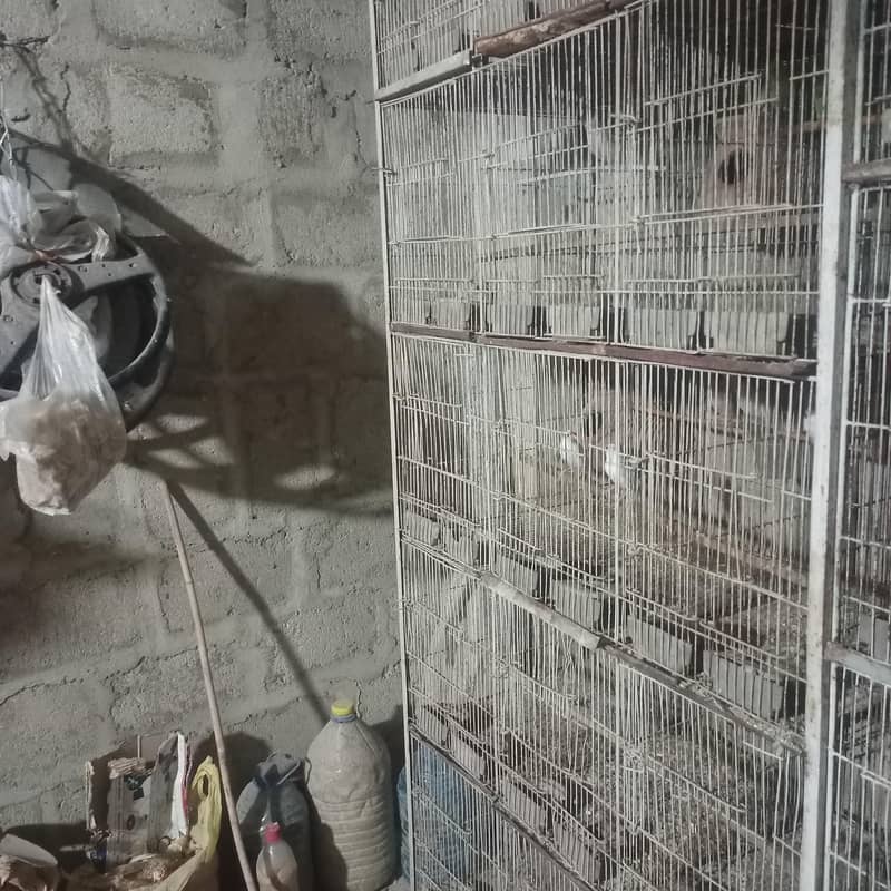 Pets cage 5