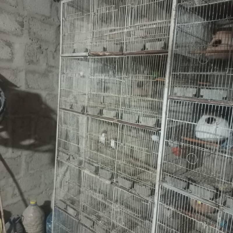 Pets cage 6