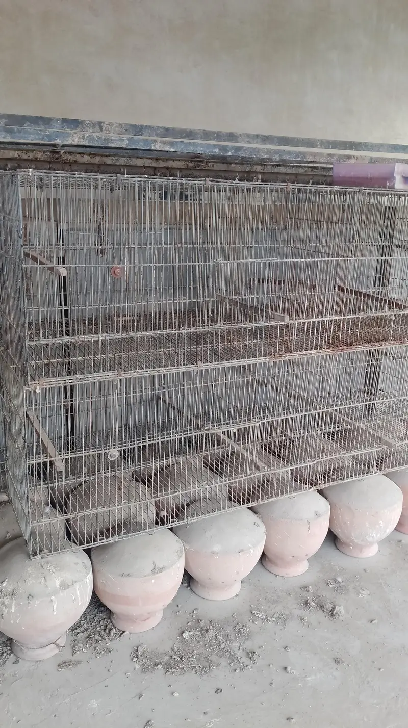 Jahangir cage — photo 3
