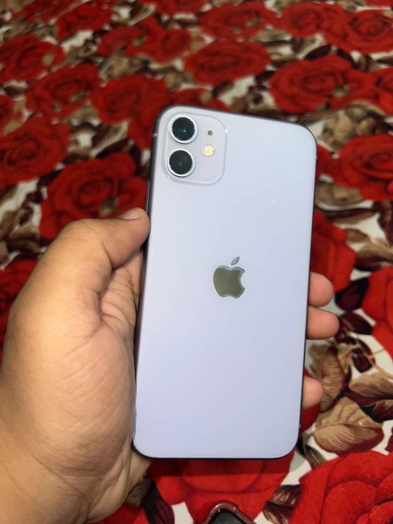Apple iPhone 11 0