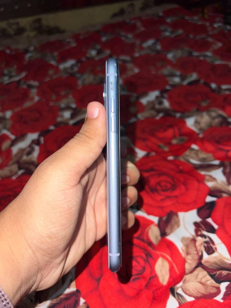 Apple iPhone 11 4