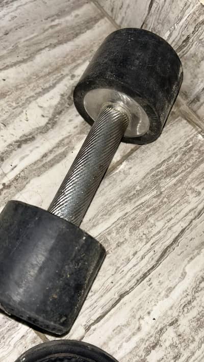 4KG dumbell pair