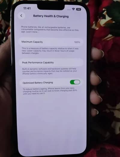 13 Pro Max 256GB 100% BH