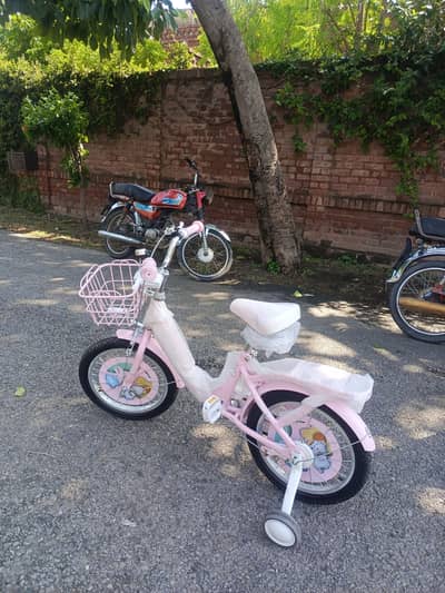 Cycle for Little Girl