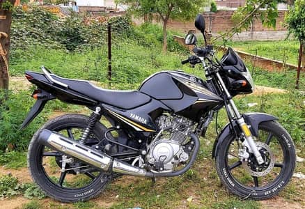 YBR 125