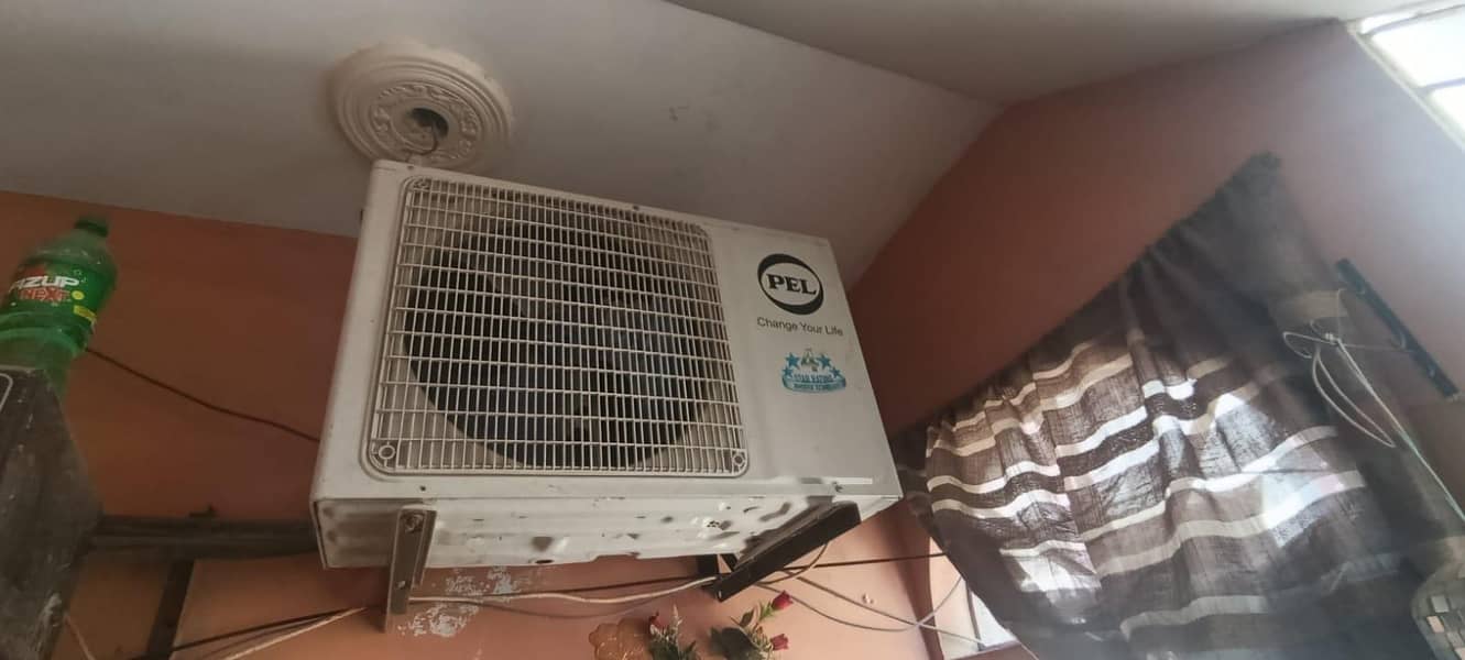 Pel Ac 1