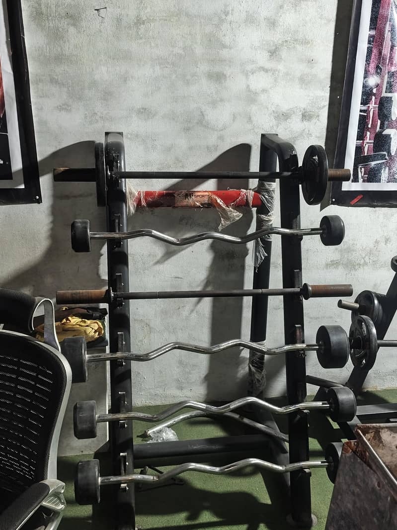 complete GYM 12