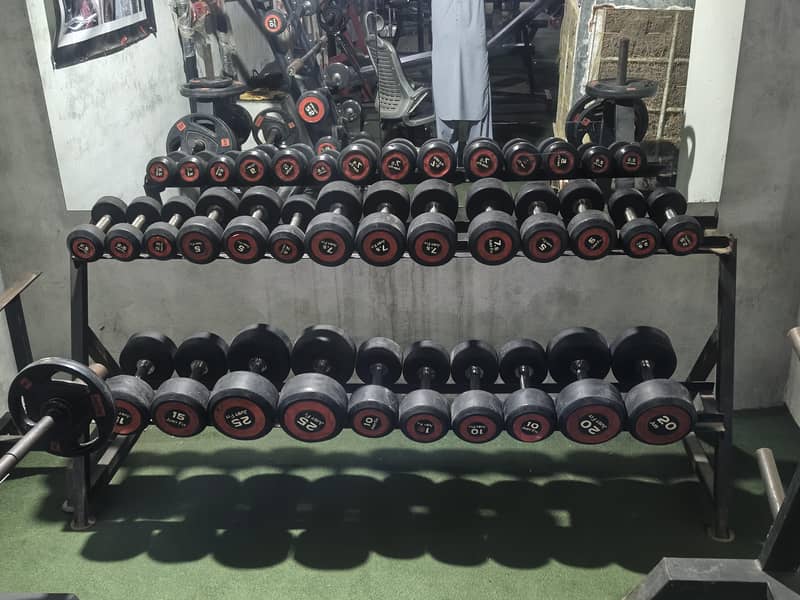 complete GYM 13